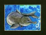 River Dolphin