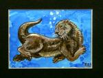 Sea Otter