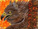 Hawk Badge