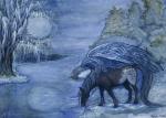 Season's Solstice