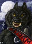 Storm Badge