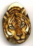Tiger Tagua