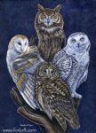 Totem Owls