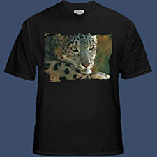Snow Leopard - West of the Moon