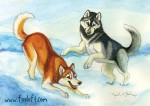Snow Romp