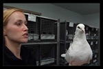 holly_and_pidgeon