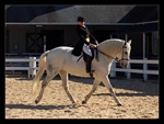 horse_1