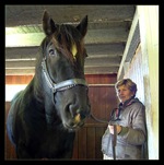 horses_are_unbelievable