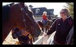 peachcat_and_horse