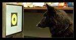 touchscreen_1