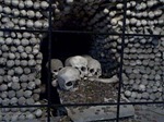 ossuary10