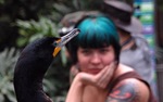 cormoran_miss_monster_2