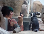 damn_you_penguin