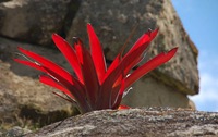 machupicchu_flower