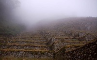 terraces_fog_2