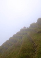 terraces_fog