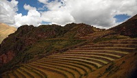 terraces