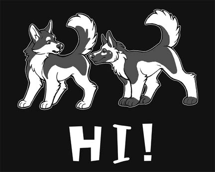 Hi Hi