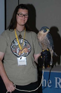 peregrineportrait