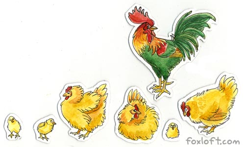 Chicken Family Magnets