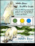White Boar Truffle Guide
