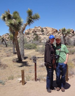 joshuatree1