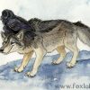 Wolf Feathers