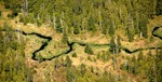 flying_2