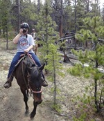 horseback