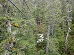 zipline3