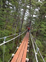 ziplinebridge
