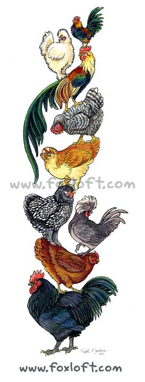 Birdstack - Chickens