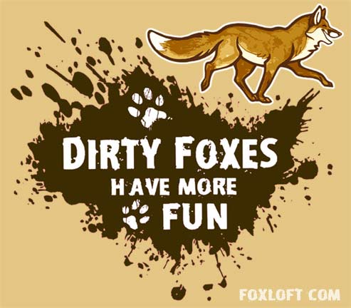 Dirty Foxes Have More Fun