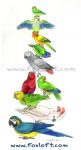 Birdstack - Parrots