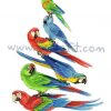 Macaw Stack