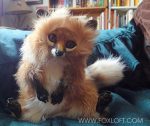 Kettu - Fox Doll