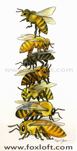 Bee Stack