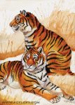 Tiger Brothers