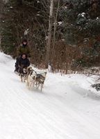 dogsledding1