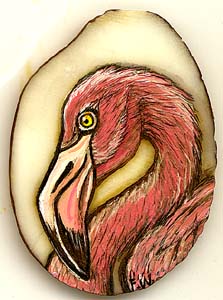 Flamingo Tagua