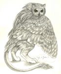 Owl Griffin