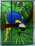 Macaw Window