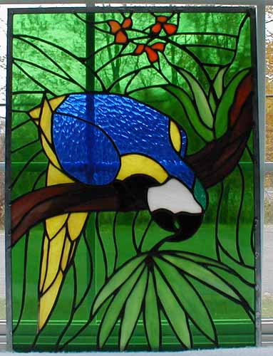 Macaw Window