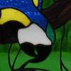 Macaw Window