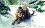 Boars and Ravens