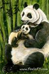 Giant Panda Card