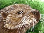 Otter