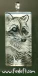 Glass Raccoon