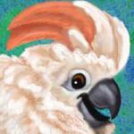 Cockatoo Icon