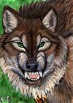 Werewolf Card